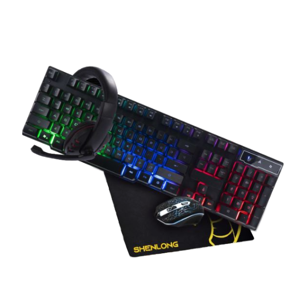 BUNDLE SHENLONG C4001 4 EN 1