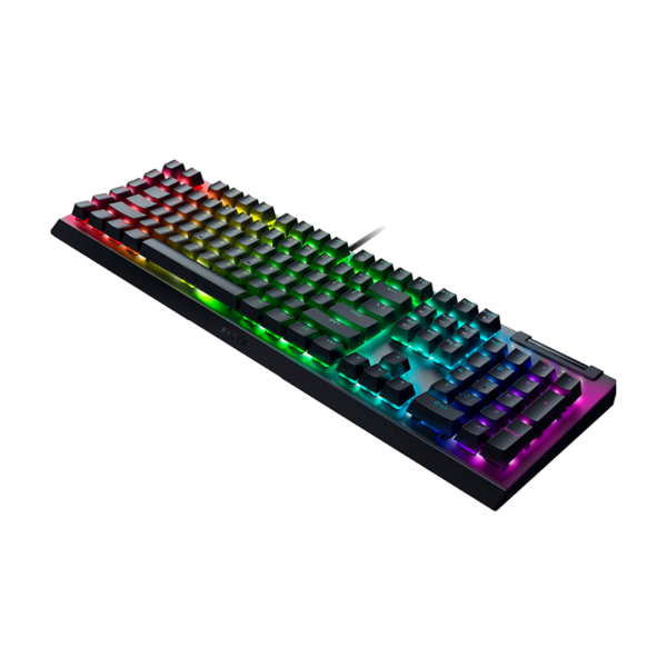 Teclado RAZER BLACKWIDOW V4 X (US)